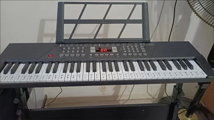 出原价980的全新61键电子琴，基础款如图...