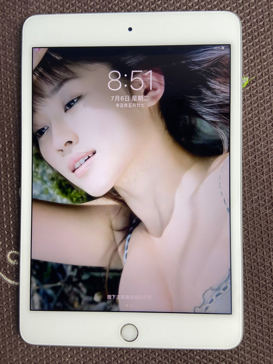 ipad mini 5 64G插卡wifi...