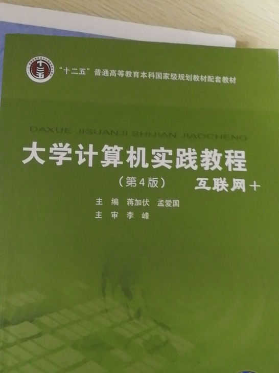 二手正版实践互联网第四版