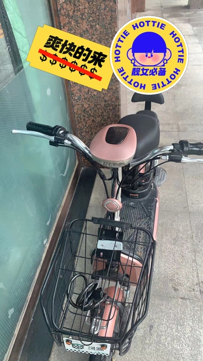 绿源牌电动车骑了两月个人一手车电池没毛病买...