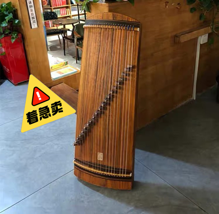几乎全新的，就用了一两次，孩子想学古筝，试...