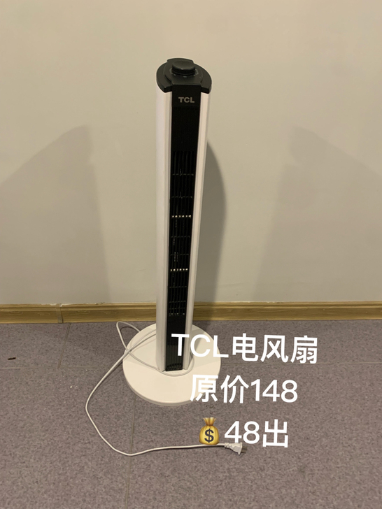 TCL电风扇，仅自提，15号线花梨坎