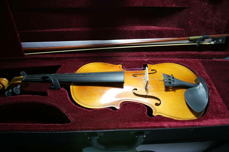 出把家里找出来的旧小提琴，当配件卖，只有琴...