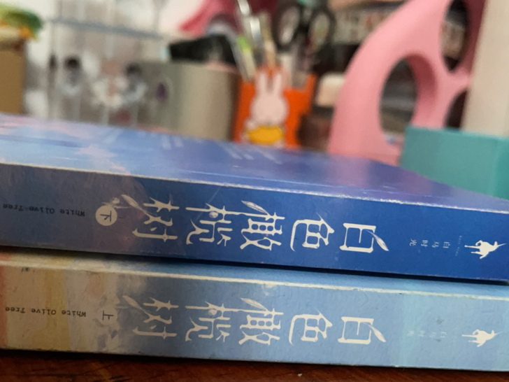 上高中没时间看,就看了前几章,有意入手可私...