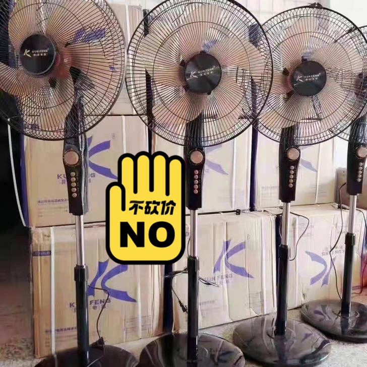 定时款的落地风扇白菜处理了,16的大尺寸,...