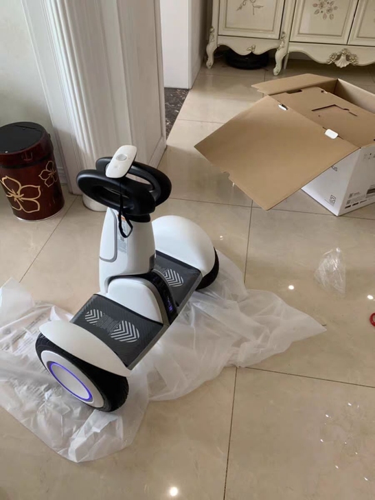 Ninebot全新未拆封小米九号平衡车pl...