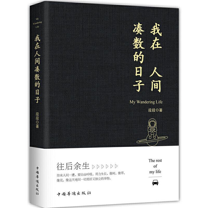 我在人间凑数的日子 段段著 皮友段友新锐作...