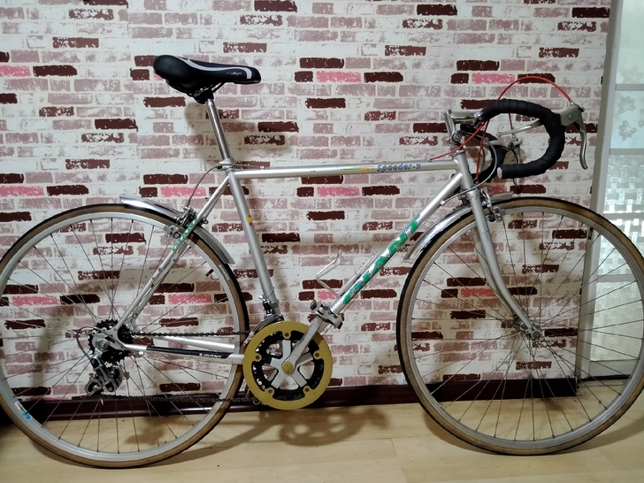 捷安特钢架公路车最早先的speeder.x