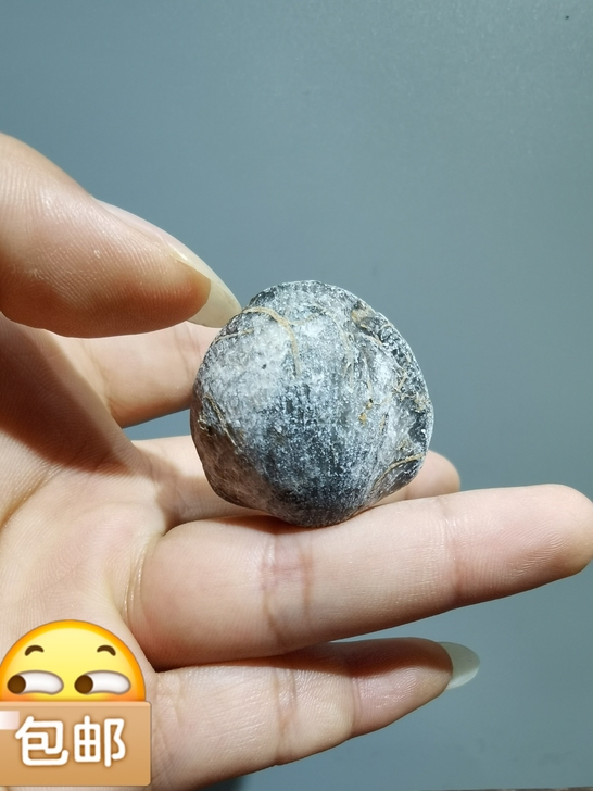 灵璧石 贝壳化石小品灵璧奇石 ...