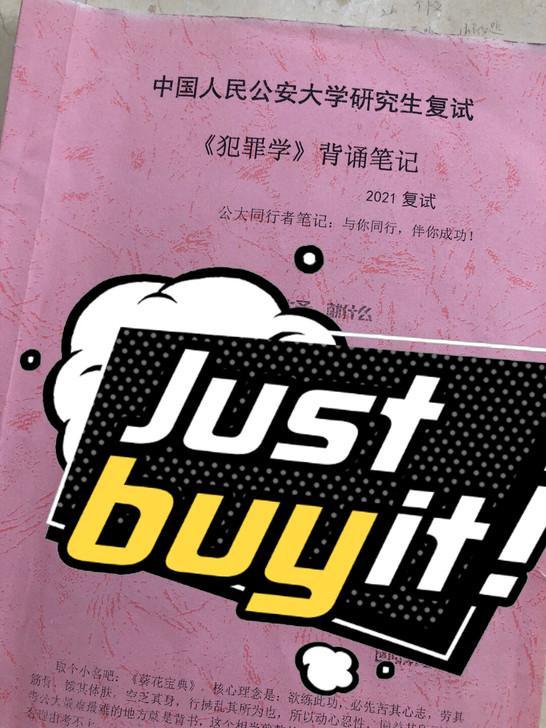 公大考研 复试犯罪学  铅笔笔记