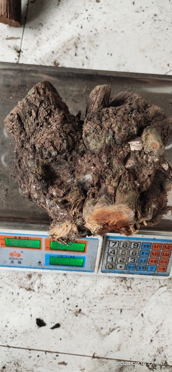 麻梨疙瘩瘤花摆件雕刻坨坨，喜欢的朋友来吧5...