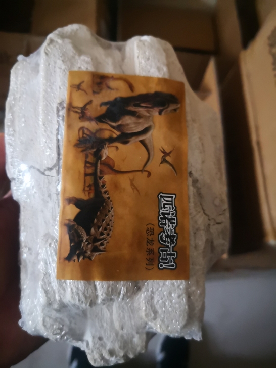 处理：匹诺大号考古化石 ，因为运输原因，外...
