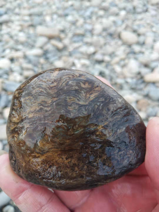 化石170包邮