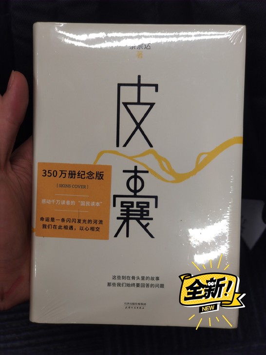 皮囊 蔡崇达