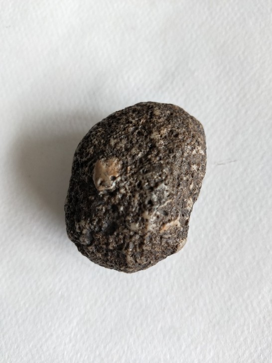 新疆奇石,蛋化石?蛋白石?有点像小恐龙刚孵...