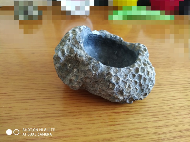 天然蜂巢珊瑚化石，可当摆件，小烟缸，尺寸1...