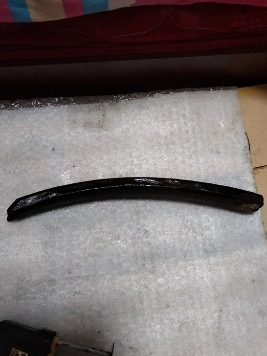 一线收货肋骨化石一根,万年化石通走 15元...