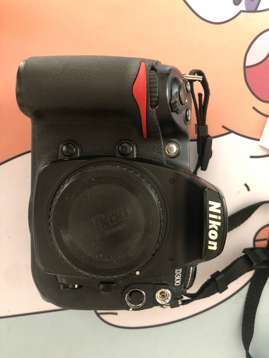 尼康d300