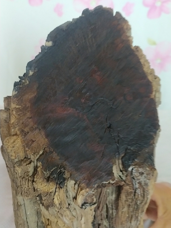 几百年的雷击枣木料，这料子年份好，它是纯天...