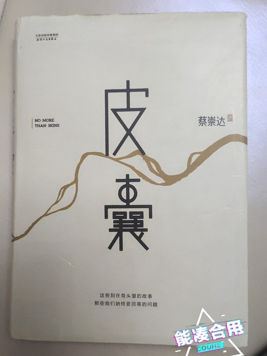 皮囊 蔡崇达