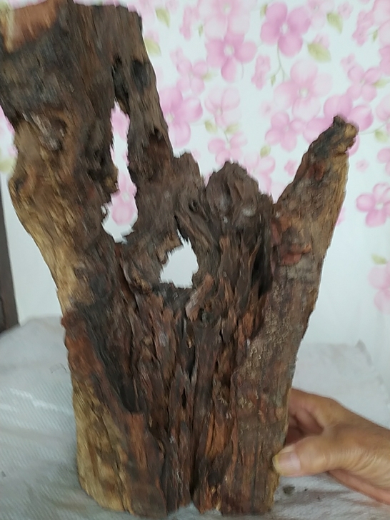 几百年的雷击枣木料，这料子年份好，它是纯天...