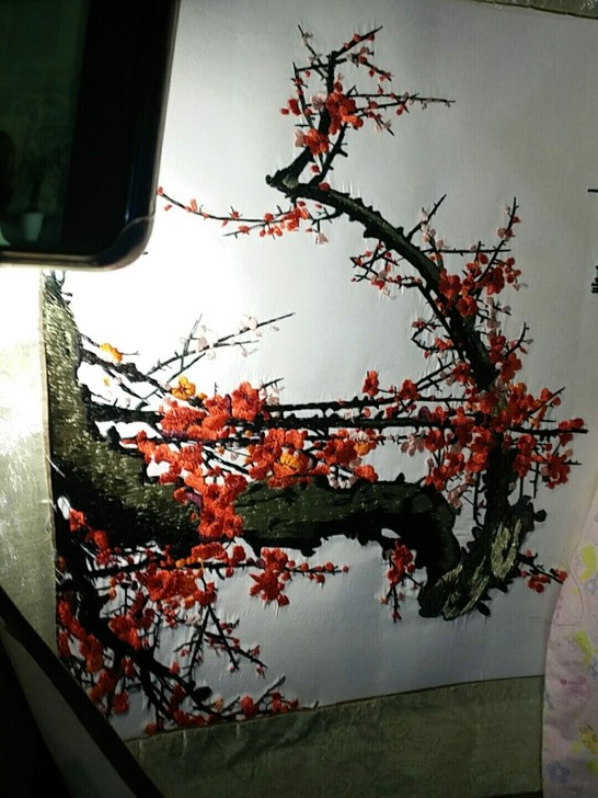 刺绣画，可以裱起来挂墙上，本人比较懒，买来...