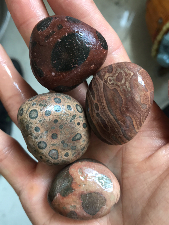 虎皮石，化石，4颗打包