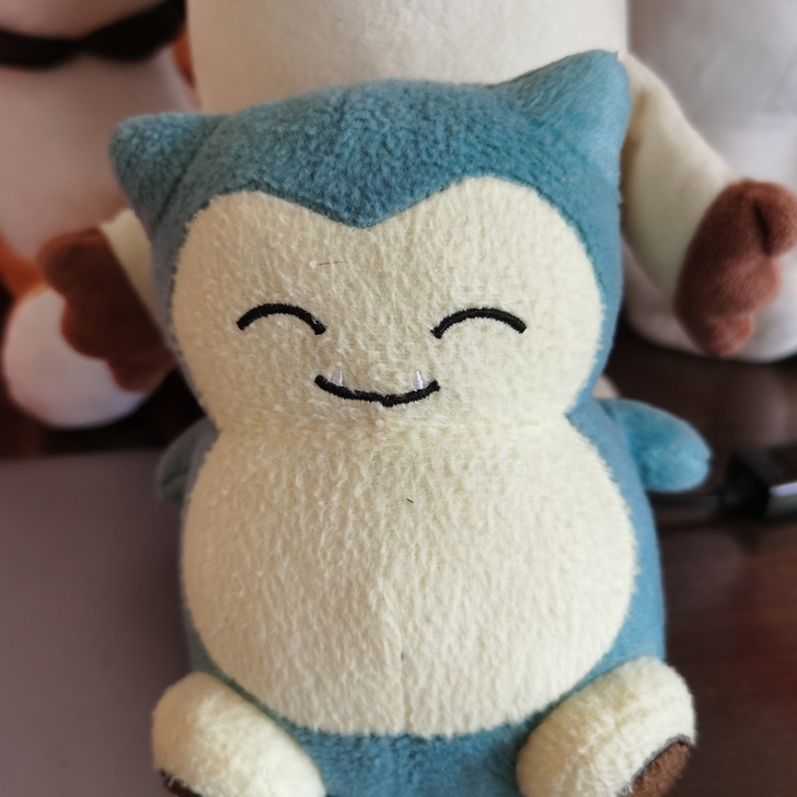 宝可梦卡比兽玩偶 几乎全新 商标已减掉 北...