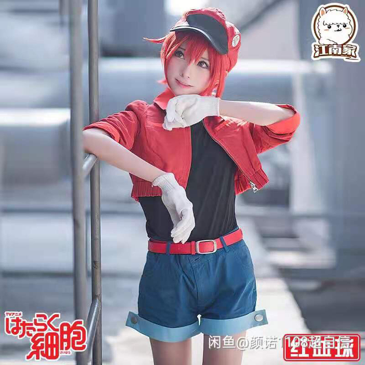 红细胞cos