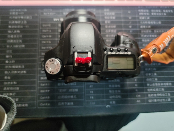 佳能EOS 50D
