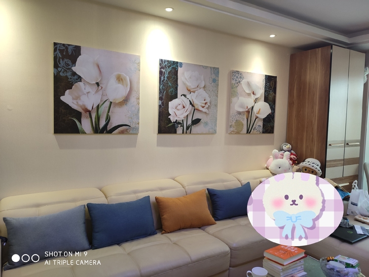 三联现代装饰挂画,