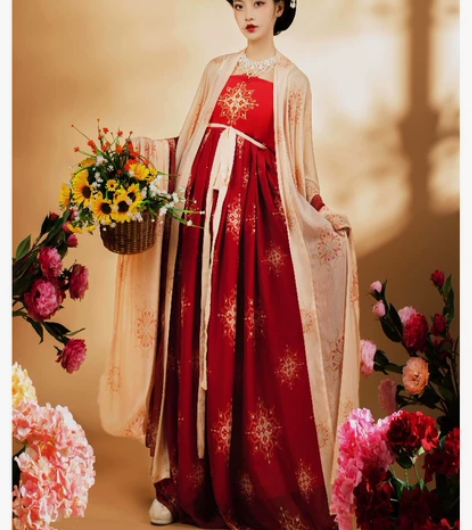 汉服女唐风正品原创中国风大袖衫齐胸诃子裙古...