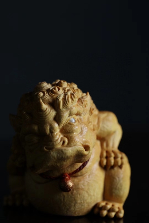 黄杨木 | ##amp；ldquo；二五八...