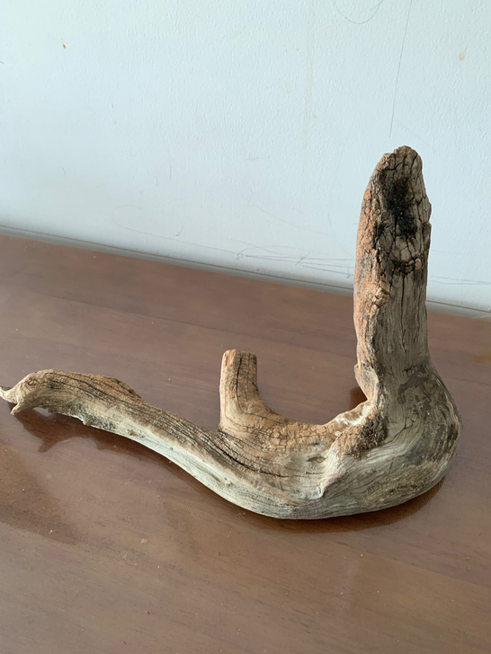 个人闲置毛料，造型像一只海狮，太行崖柏陈化...