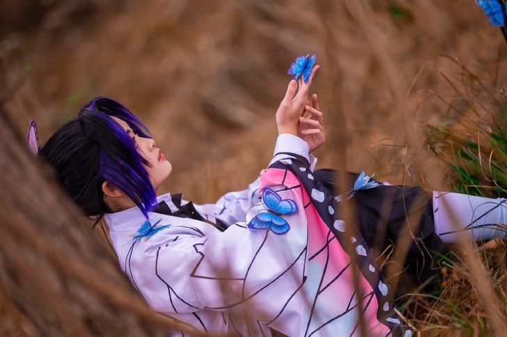 蝴蝶忍队服大全套