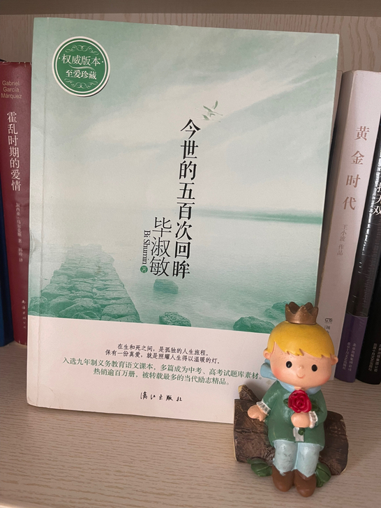 毕淑敏，国家一级作家，著名心理咨询师。