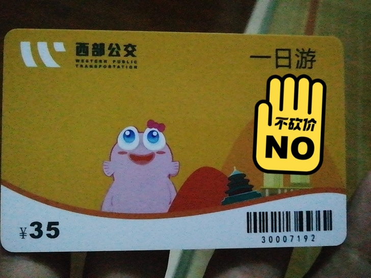 重庆主城通用旅游观光车一日套票两张，激活后...