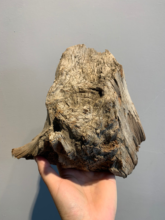 全陈华崖柏 崖柏老茬头 完整意境 2斤