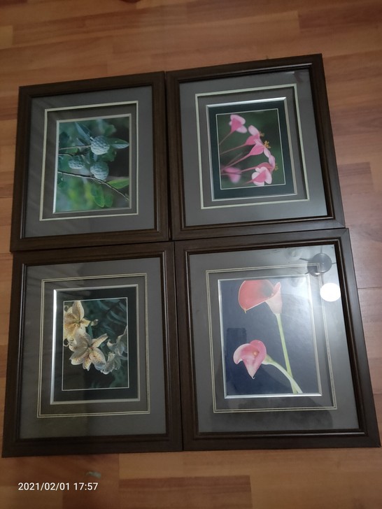出售工艺画 镜框，9成新，可以直接悬挂，也...