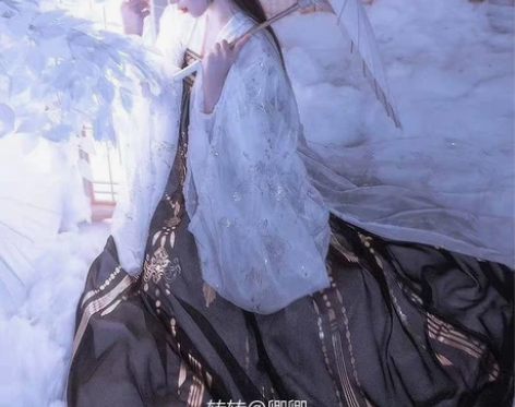 艺缕黑云鹤正品汉服女齐胸襦裙 入手渠道：与...
