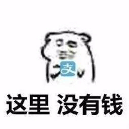银色钻石1-11