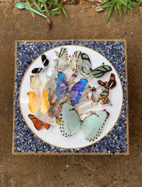 家居摆件工艺品纯手工代购巴西大蓝闪蝶水蓝蝴...