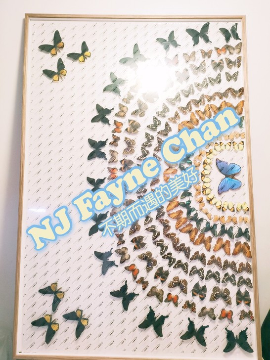 大型蝴蝶标本画