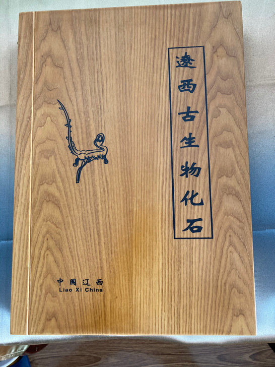 中国辽西古生物化石100