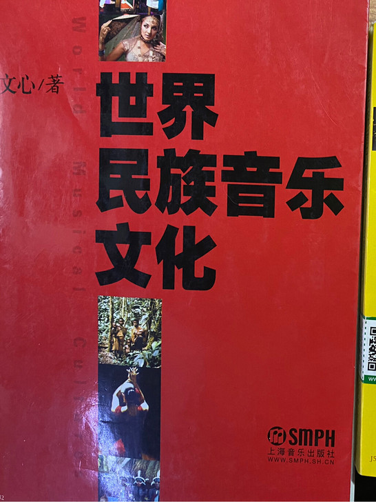 世界民族音乐文化 9.5成新