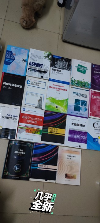 佛系出书,计算机应用开发,计算机开发网络安...
