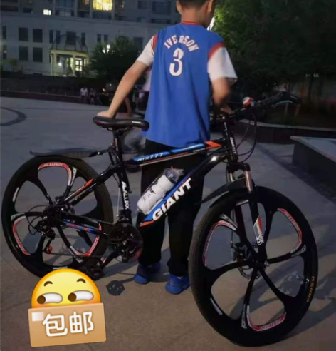 【低价处理】捷安特山地车自行车六刀一体轮男...