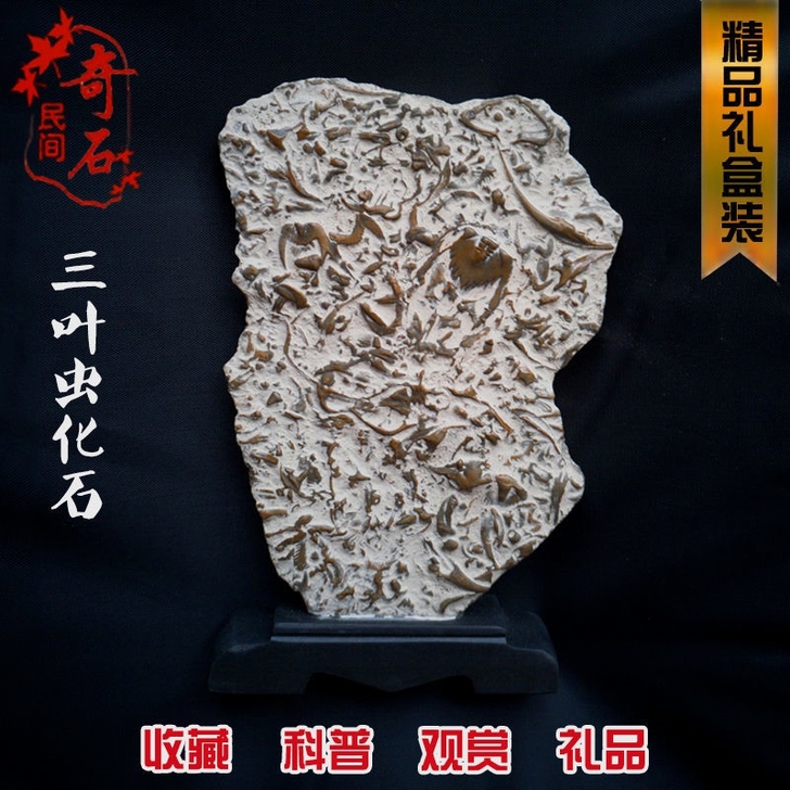 燕子石原石古生物化石奇石家庭家居摆件礼 收...
