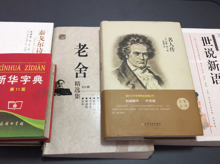 泰戈尔诗选全译版