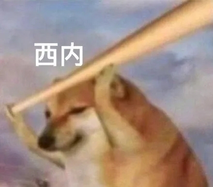 C语言开发，通信专业一对一指导，制定学习计...